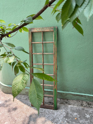 Ventana verde