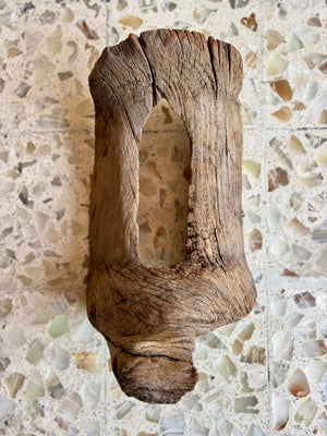 Fuste montura caballo