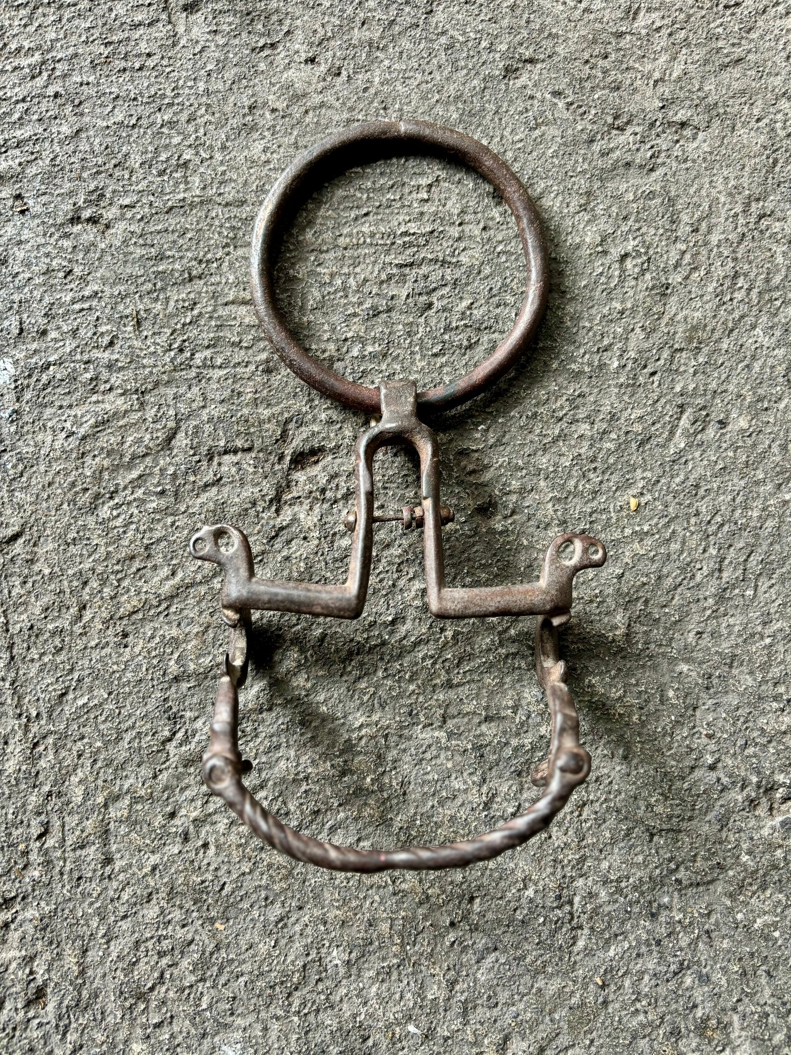 Antiguo freno mulero