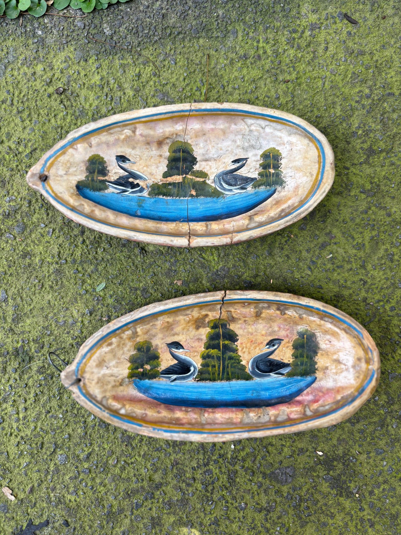 Platos de semilla cacao