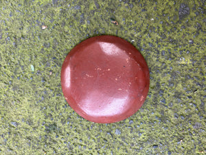 Platito de guaje