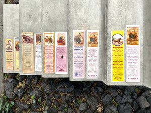 Carteles taurinos