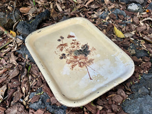 Charola metálica