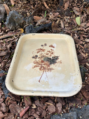 Charola metálica