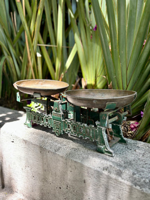 Bascula de dos platos