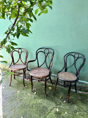 Sillas Fischel