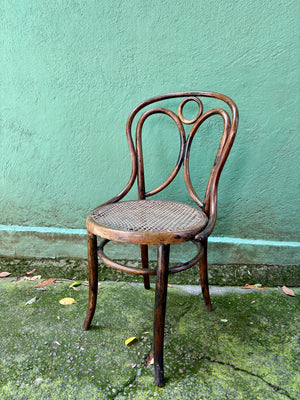 Sillas Fischel