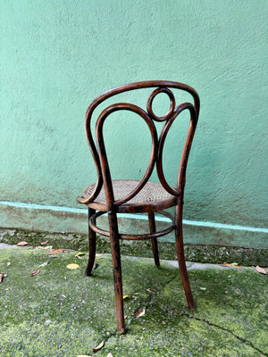 Sillas Fischel