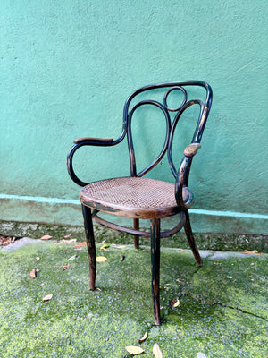Sillas Fischel