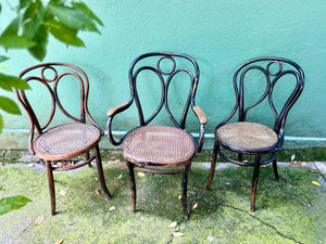 Sillas Fischel