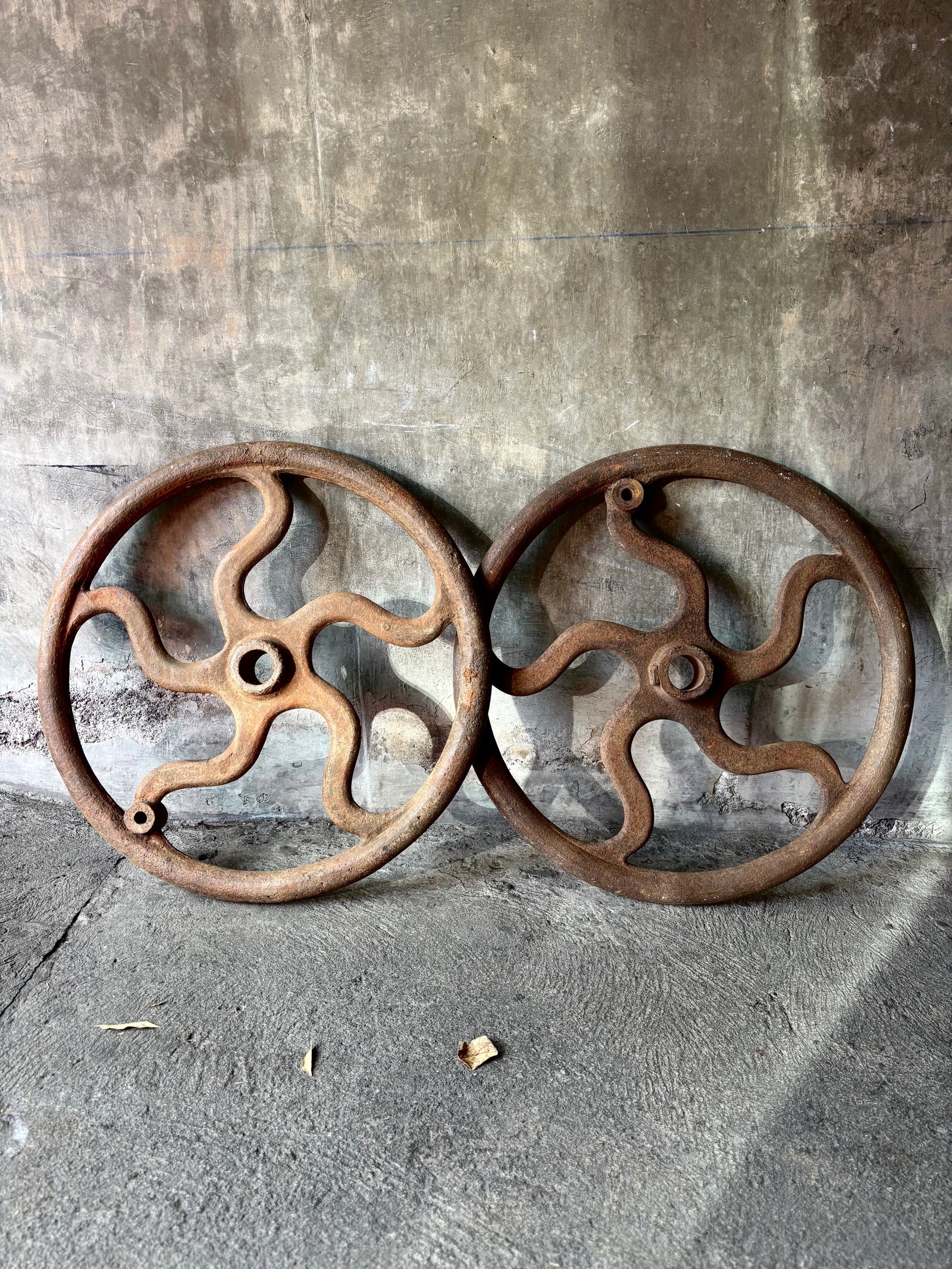 Ruedas de despulpadora de café